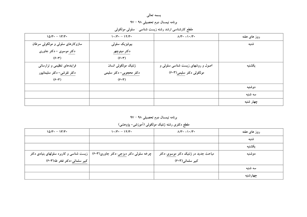 پیش نمایش