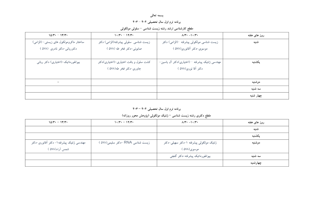 پیش نمایش