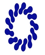 Saina Dam Afrand Parsian logo