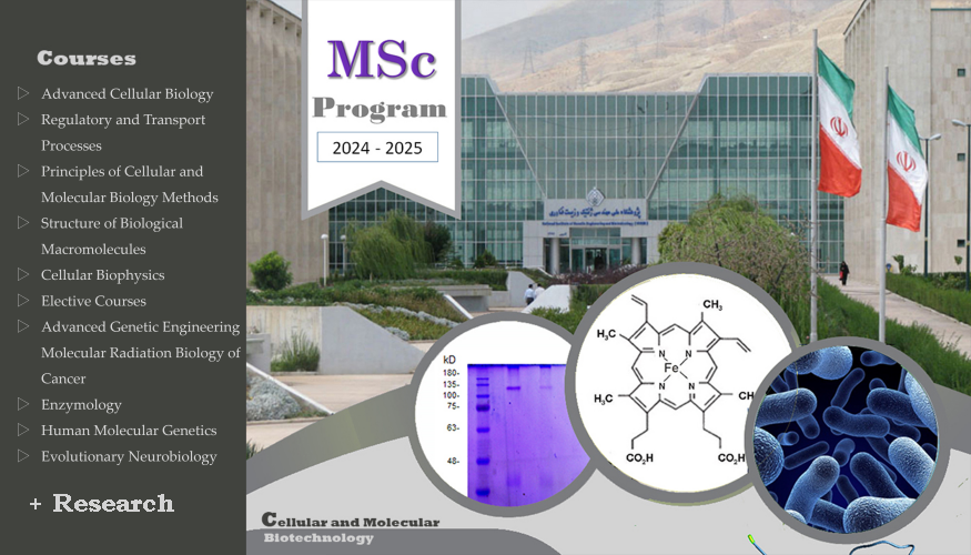 Cellular and Microbial Biotech MSc 500.jpg